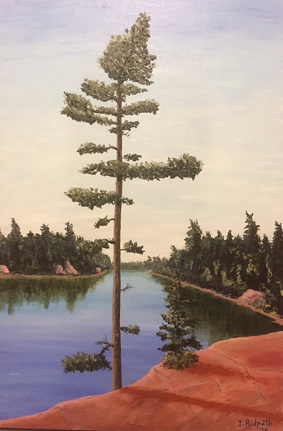 Standing Alone Pine - 30 x 20 oil on canvas by J. Ian Ridpath - completed June 2018